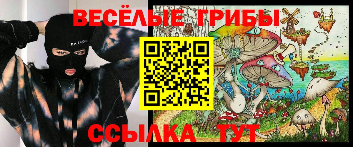 Галлюциногенные грибы ЛСД  Вход с VPN  Нововоронеж 